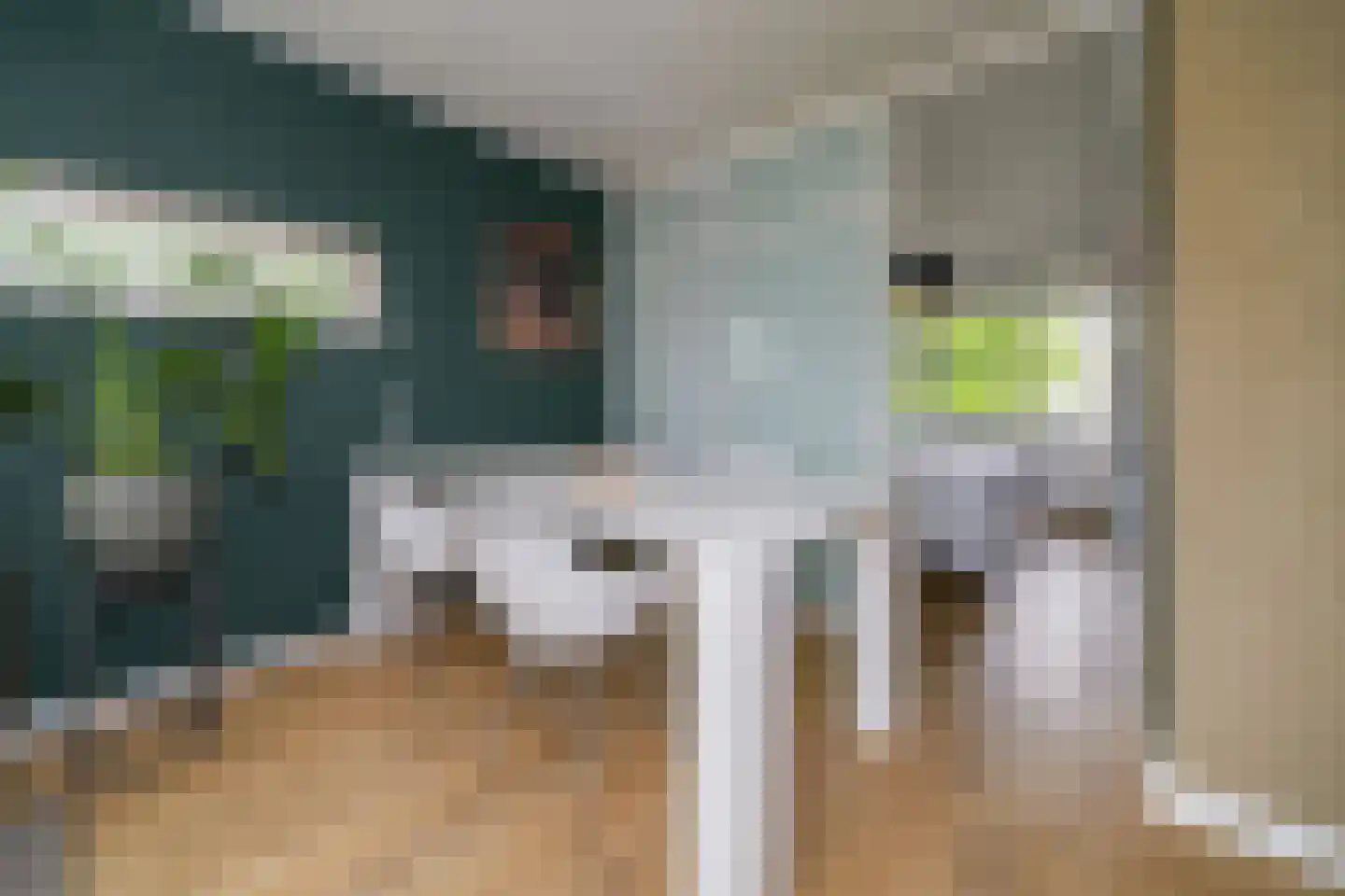 Schalkeroord 56 Rotterdam thumbnail 12