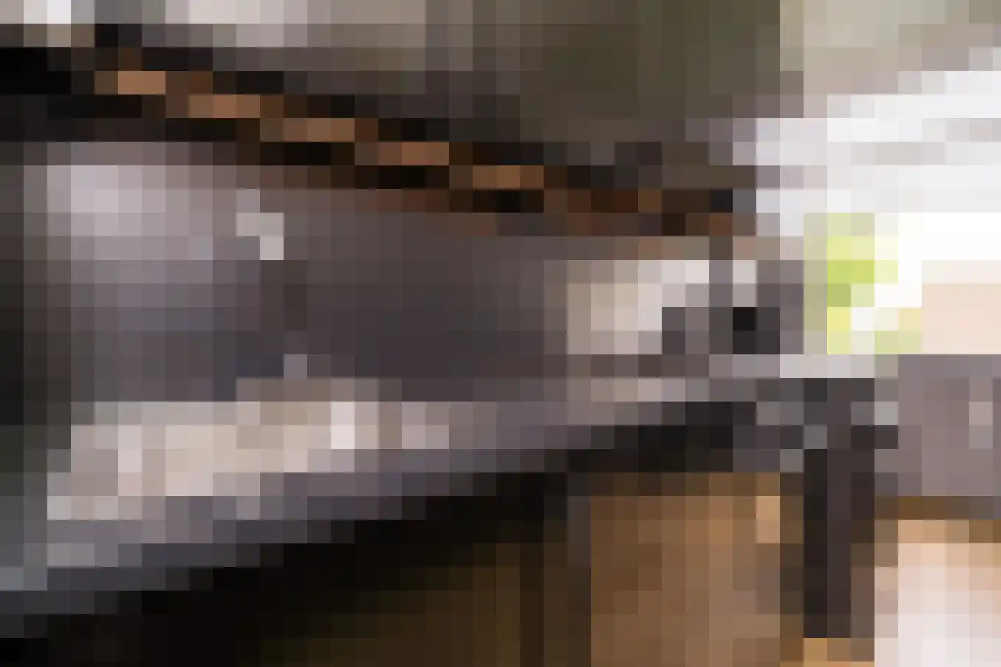 Schalkeroord 56 Rotterdam thumbnail 16