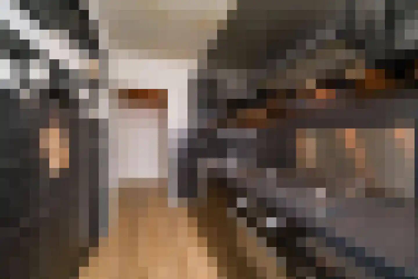 Schalkeroord 56 Rotterdam thumbnail 17