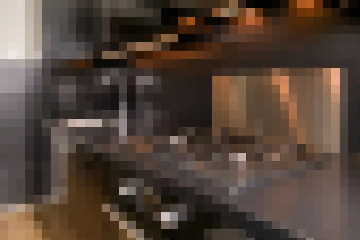 Schalkeroord 56 Rotterdam thumbnail 18