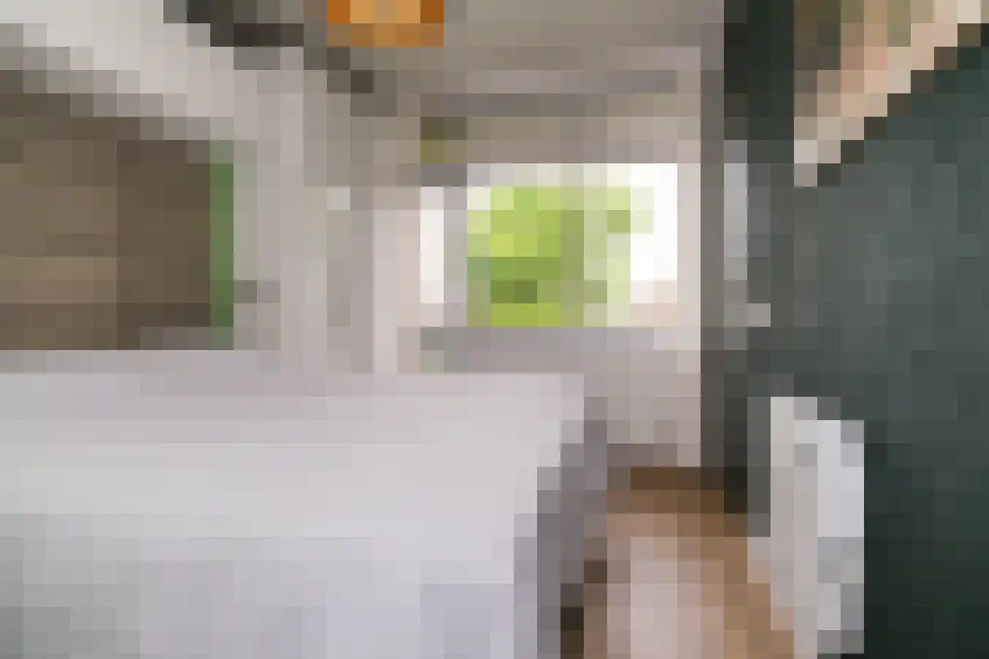 Schalkeroord 56 Rotterdam thumbnail 19