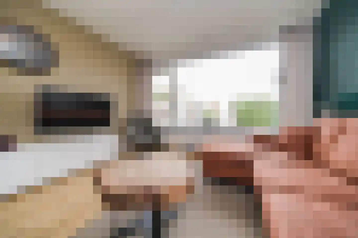 Schalkeroord 56 Rotterdam thumbnail 5