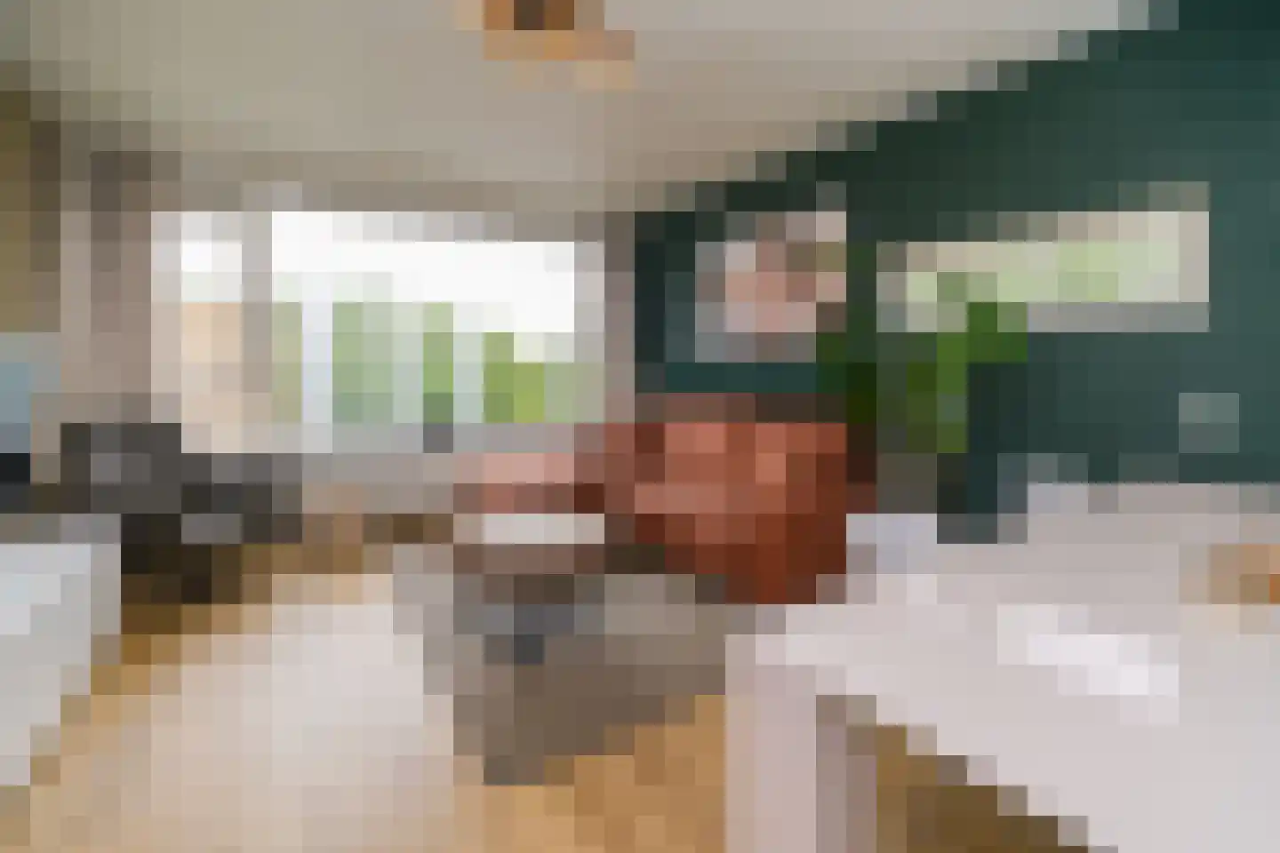 Schalkeroord 56 Rotterdam thumbnail 8