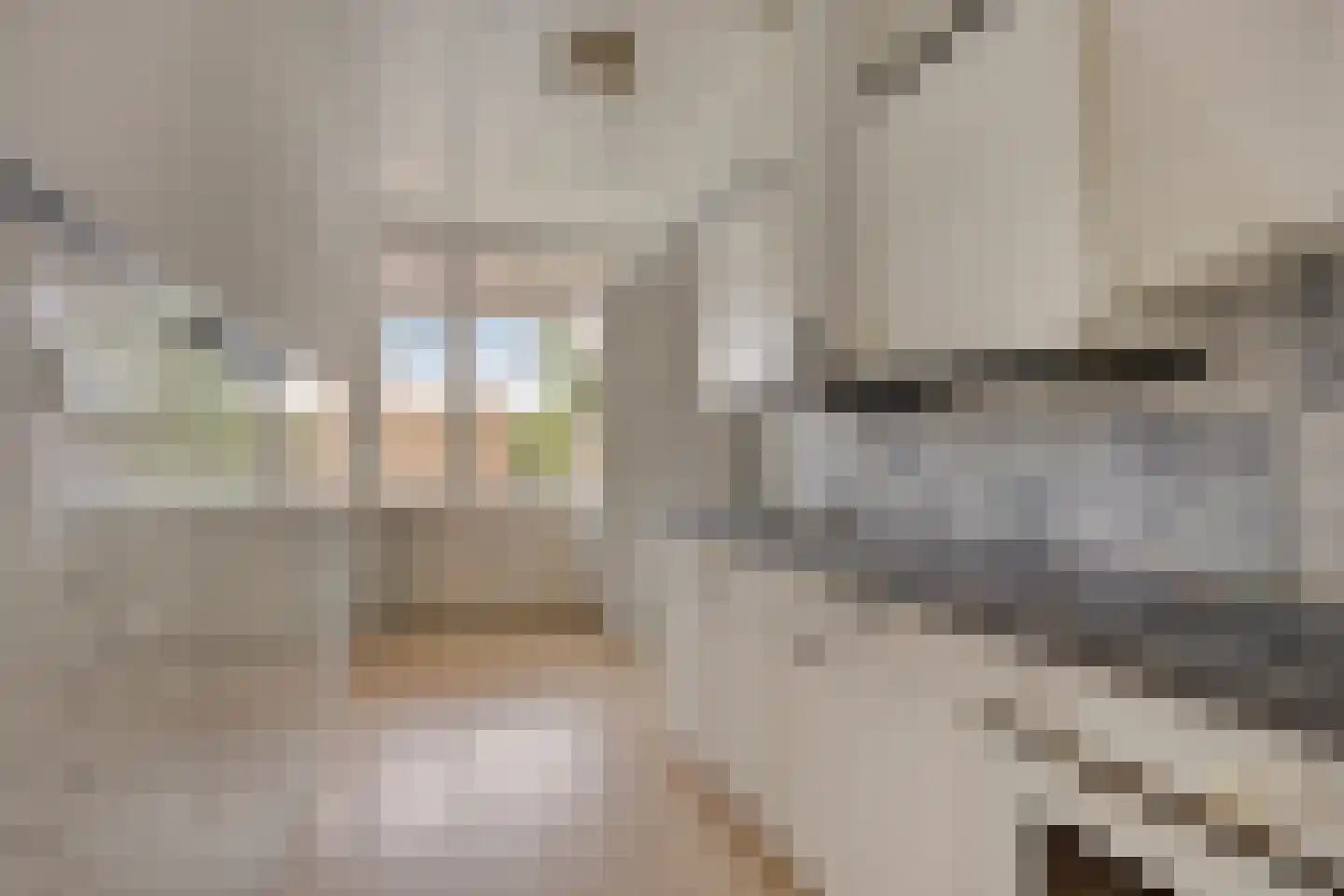 Schalkeroord 64 Rotterdam thumbnail 14