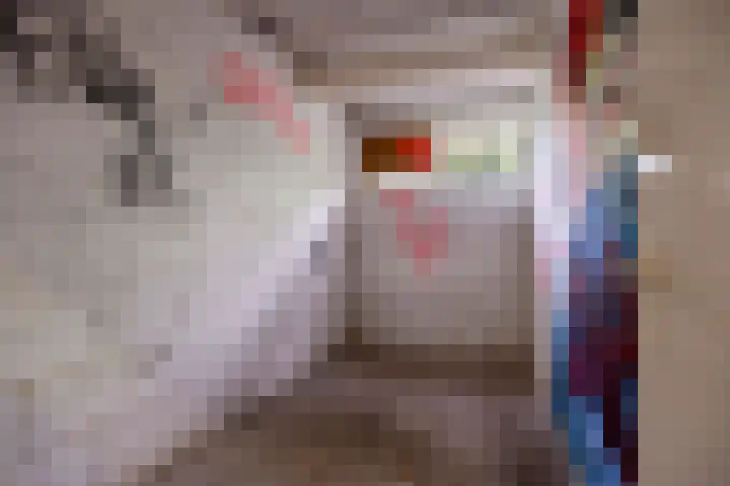 Schalkeroord 64 Rotterdam thumbnail 27