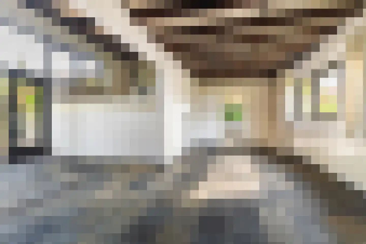 Schalkeveld 34 Breda thumbnail 7