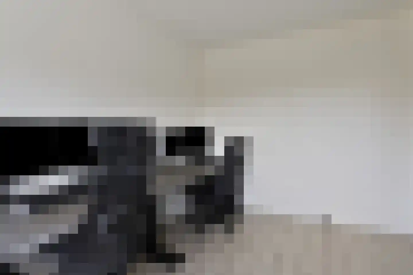 Schalkhaarstraat 101 Tilburg thumbnail 22