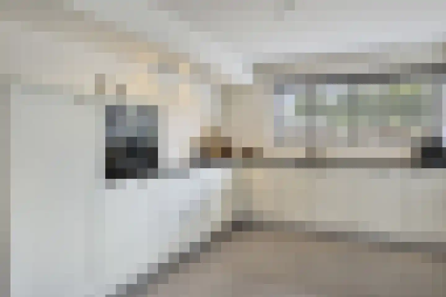 Schalkhaarstraat 101 Tilburg thumbnail 8