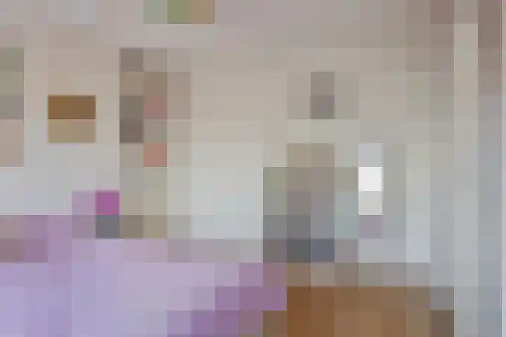 Schalkhaarstraat 39 Tilburg thumbnail 23