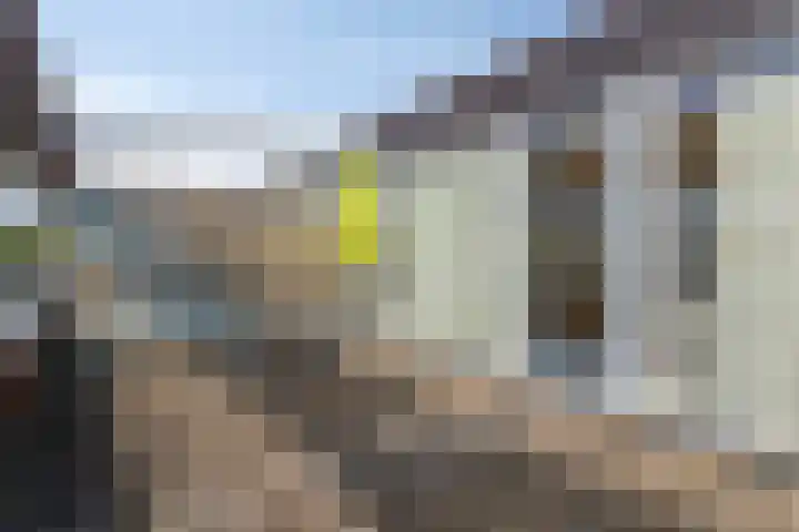 Schalkhaarstraat 39 Tilburg thumbnail 30