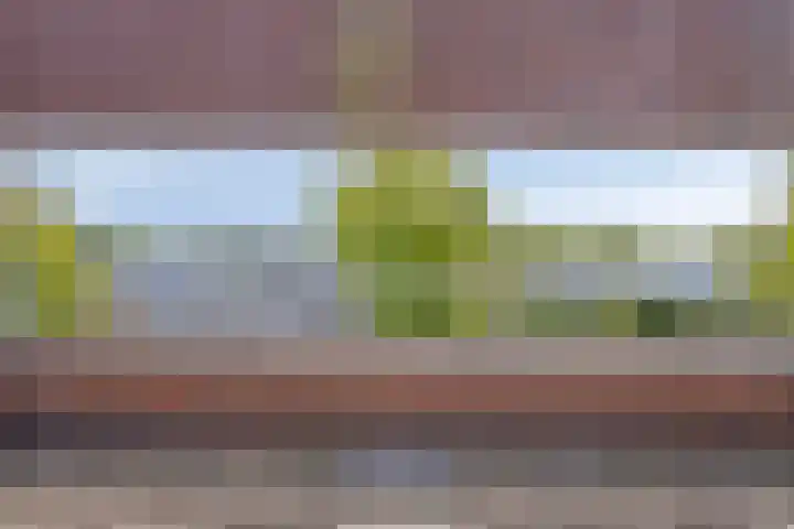 Schalkhaarstraat 39 Tilburg thumbnail 32
