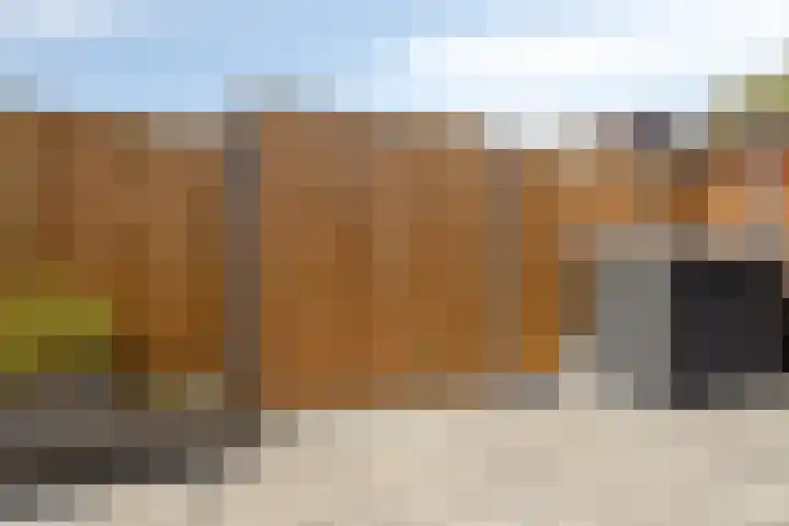 Schalkhaarstraat 39 Tilburg thumbnail 36
