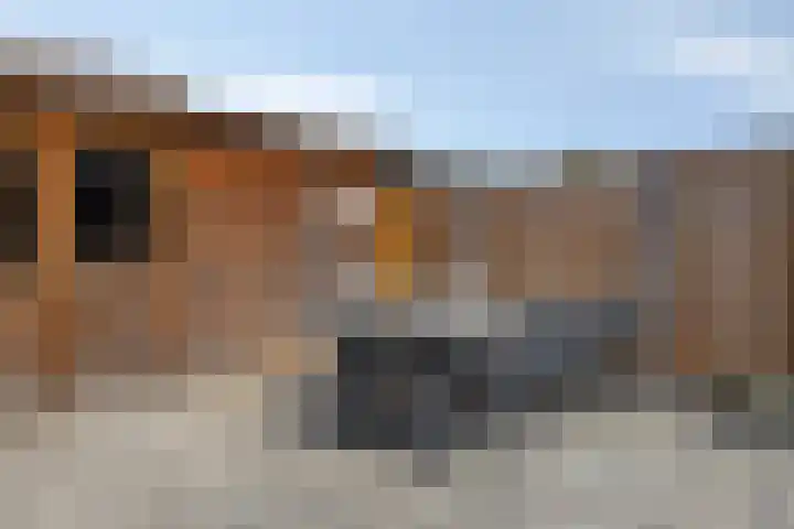 Schalkhaarstraat 39 Tilburg thumbnail 37