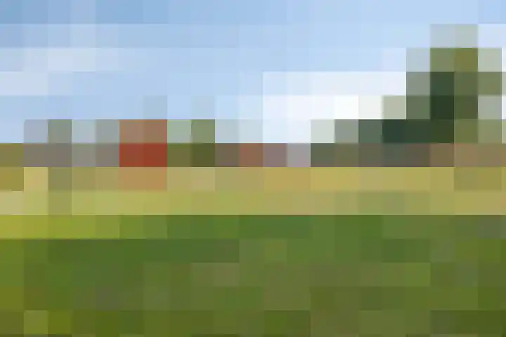 Schalkhaarstraat 39 Tilburg thumbnail 42