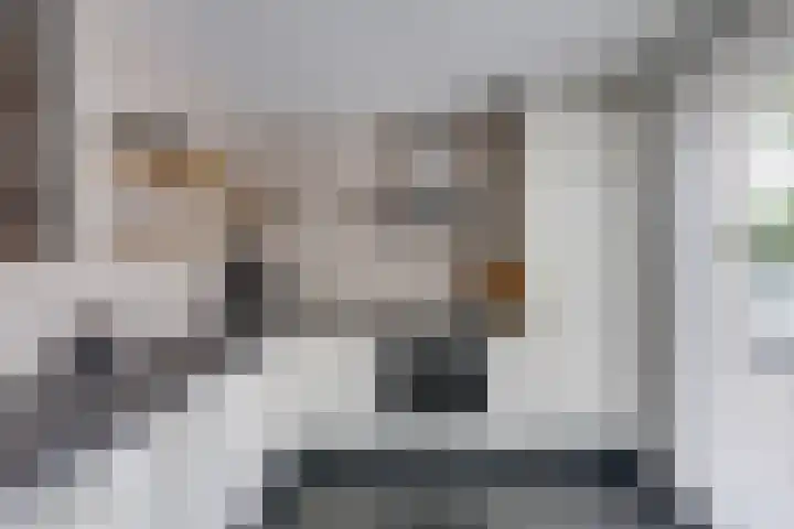 Schalkhaarstraat 47 Tilburg thumbnail 10