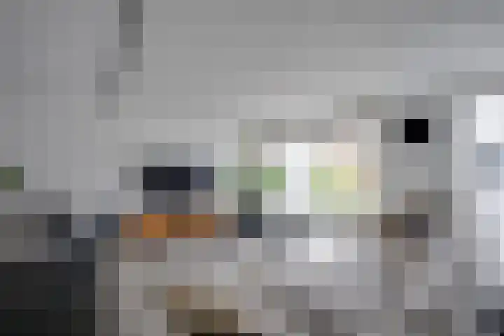 Schalkhaarstraat 47 Tilburg thumbnail 23