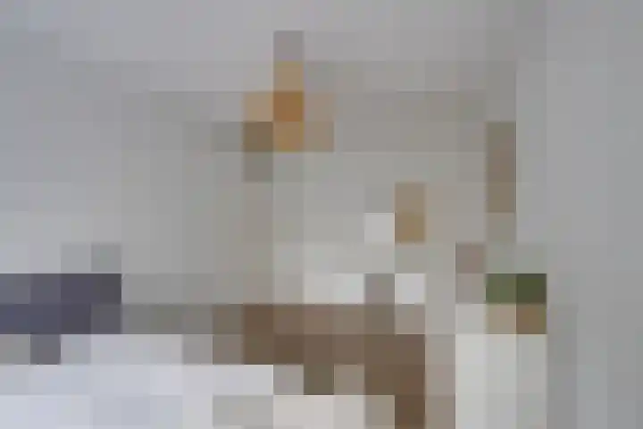 Schalkhaarstraat 47 Tilburg thumbnail 28