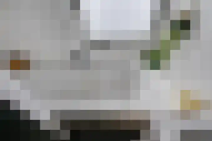 Schalkhaarstraat 47 Tilburg thumbnail 36