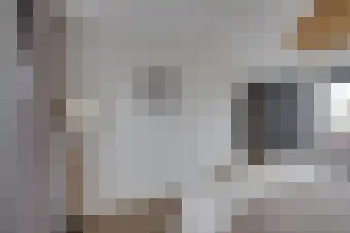 Schalkhaarstraat 47 Tilburg thumbnail 44