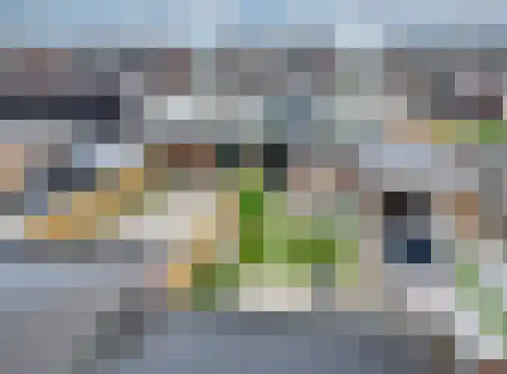 Schalkhaarstraat 47 Tilburg thumbnail 49