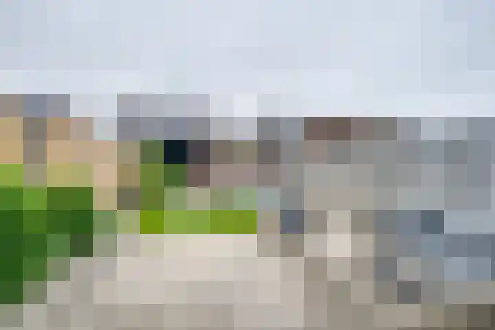 Schalkhaarstraat 47 Tilburg thumbnail 50