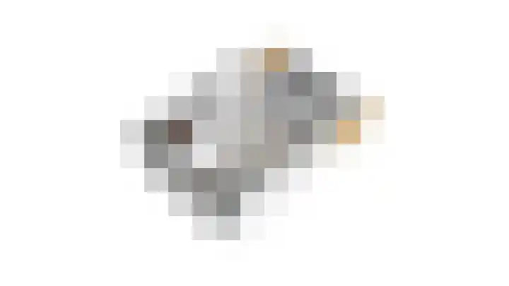 Schalkhaarstraat 47 Tilburg thumbnail 66