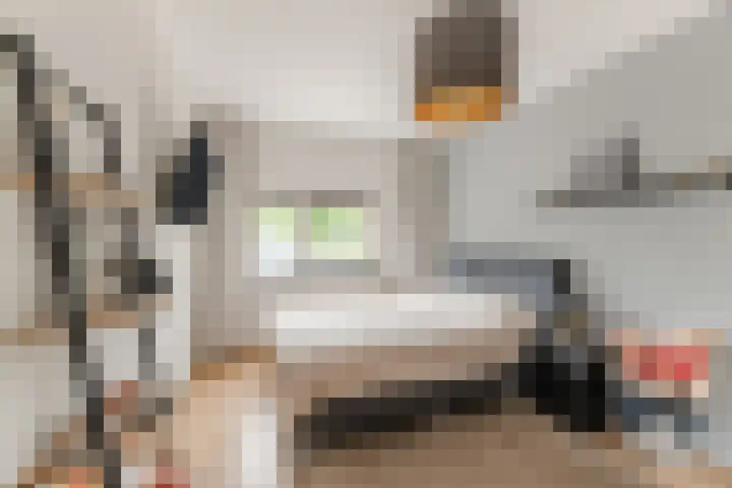Schalkhaarstraat 75 Tilburg thumbnail 15