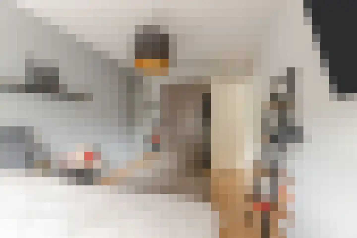 Schalkhaarstraat 75 Tilburg thumbnail 16