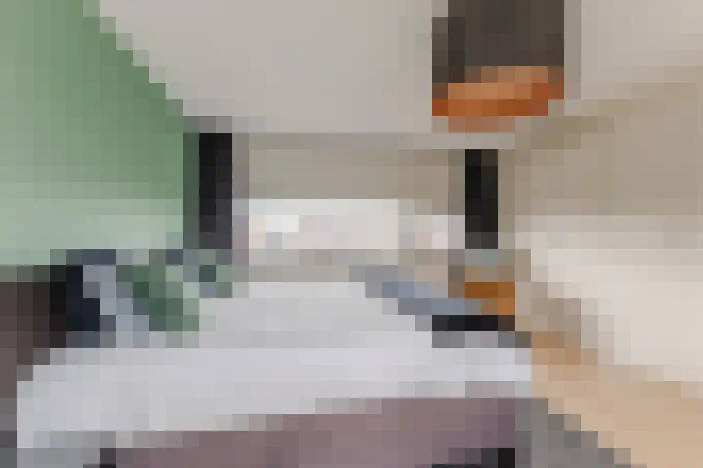 Schalkhaarstraat 75 Tilburg thumbnail 23