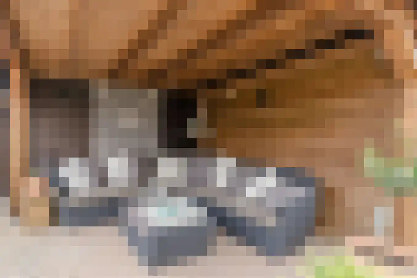 Schalkhaarstraat 75 Tilburg thumbnail 32