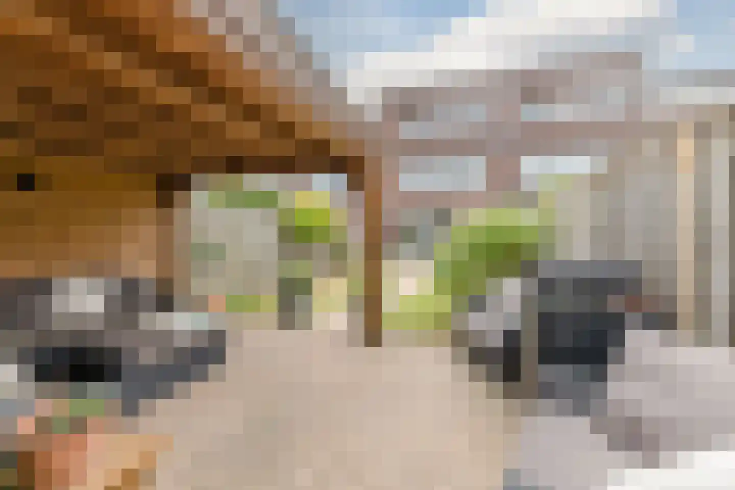 Schalkhaarstraat 75 Tilburg thumbnail 4