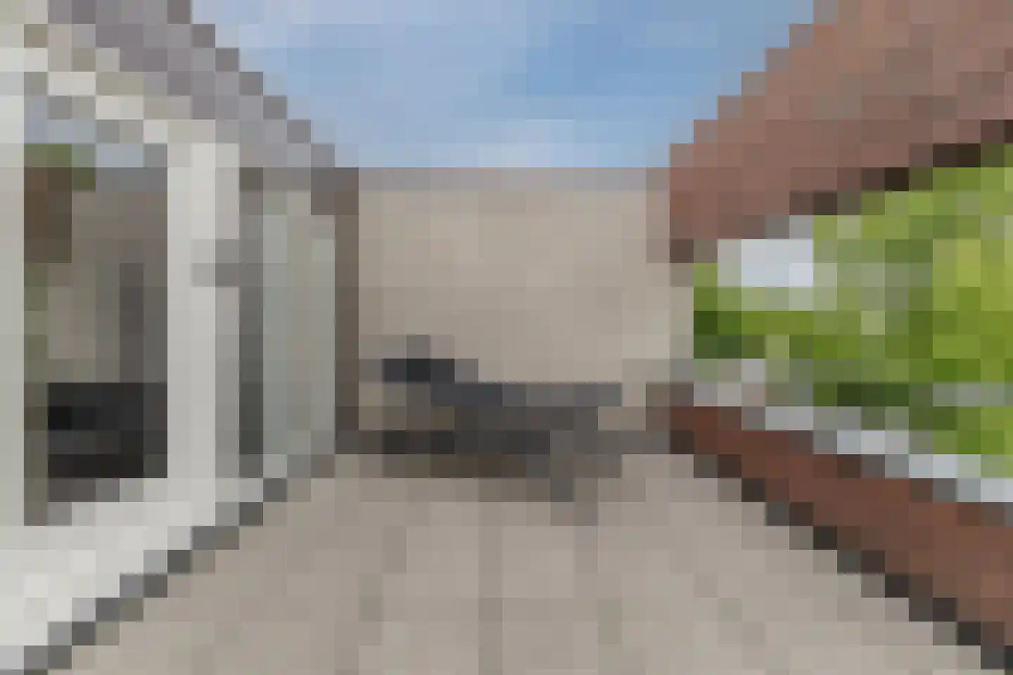 Schalkhaarstraat 75 Tilburg thumbnail 5