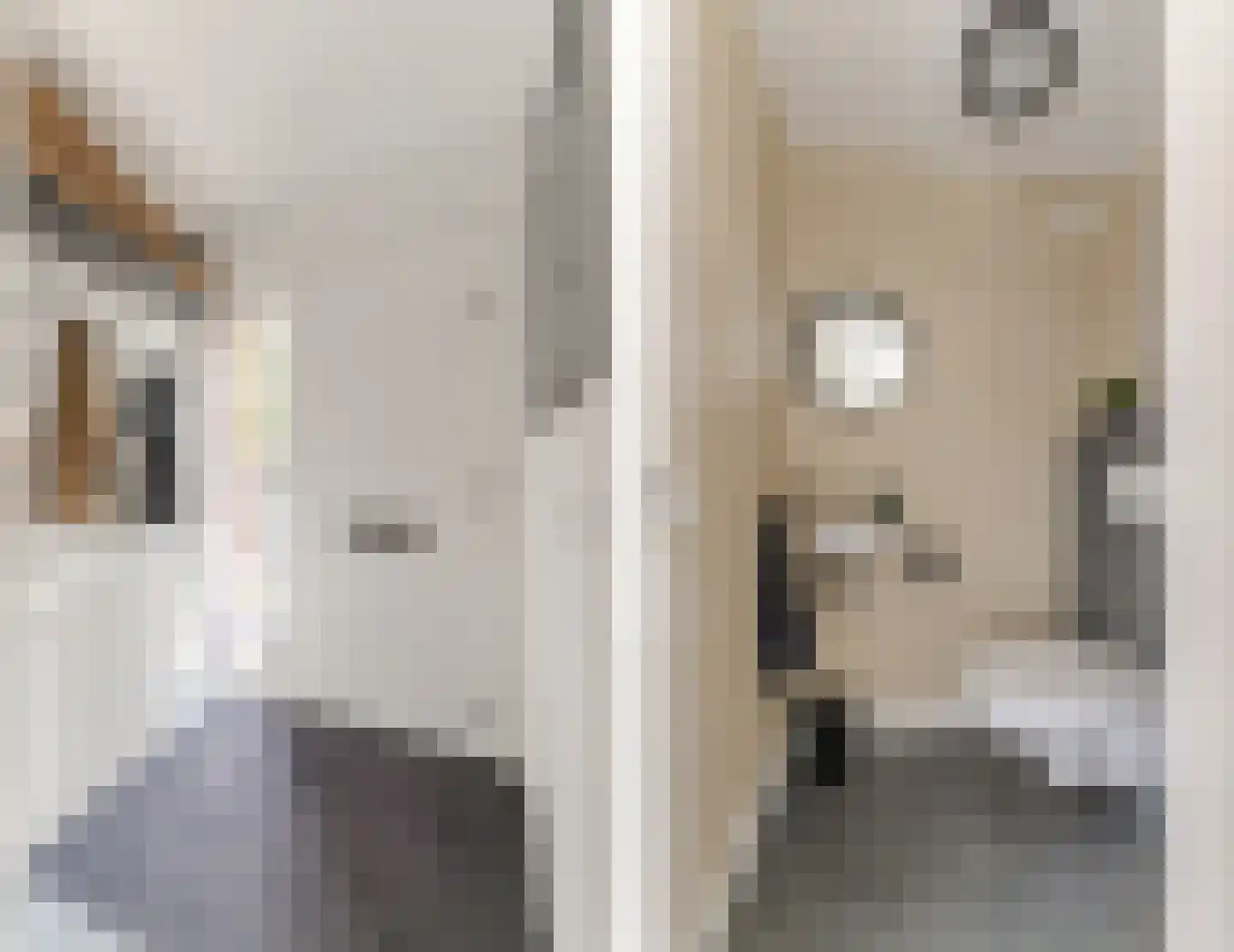 Schalkhaarstraat 75 Tilburg thumbnail 6