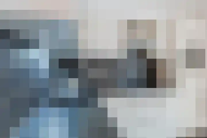 Schalkhaarstraat 89 Tilburg thumbnail 17