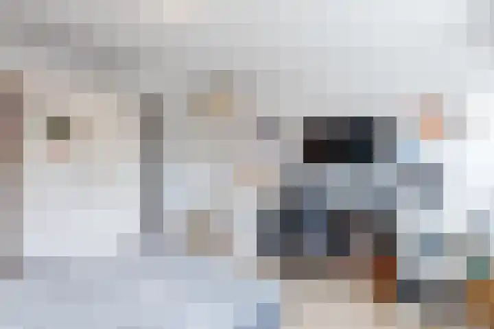 Schalkhaarstraat 89 Tilburg thumbnail 22