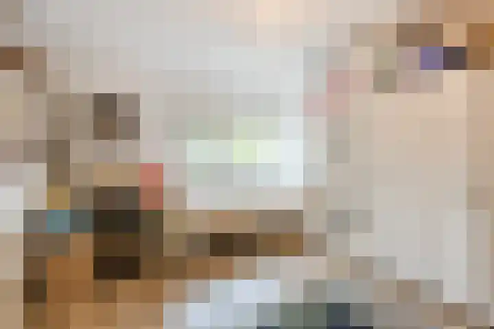 Schalkhaarstraat 89 Tilburg thumbnail 24