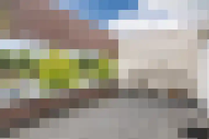 Schalkhaarstraat 89 Tilburg thumbnail 36