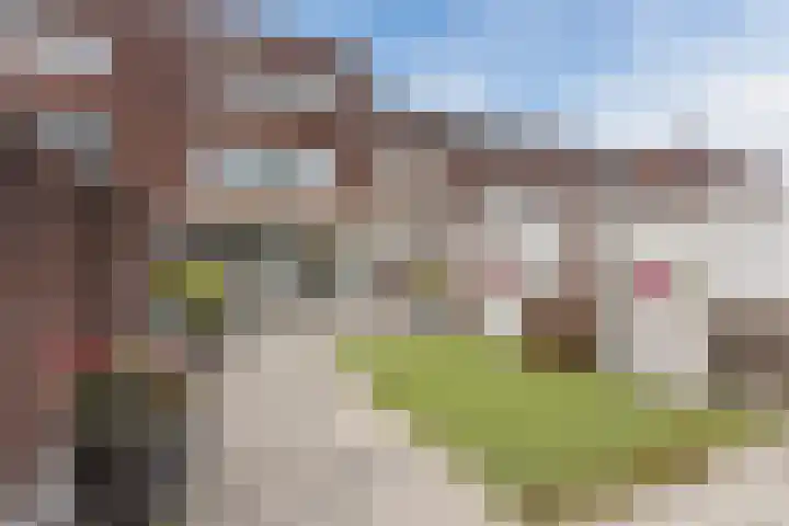 Schalkhaarstraat 89 Tilburg thumbnail 44
