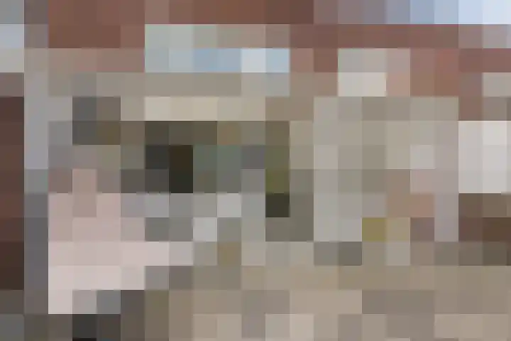 Schalkhaarstraat 89 Tilburg thumbnail 47
