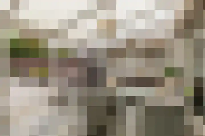 Schalkhaarstraat 89 Tilburg thumbnail 48