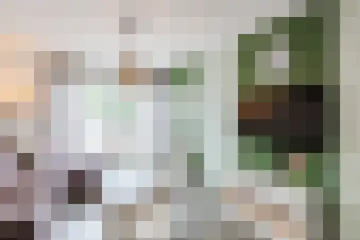 Schalkhaarstraat 89 Tilburg thumbnail 8