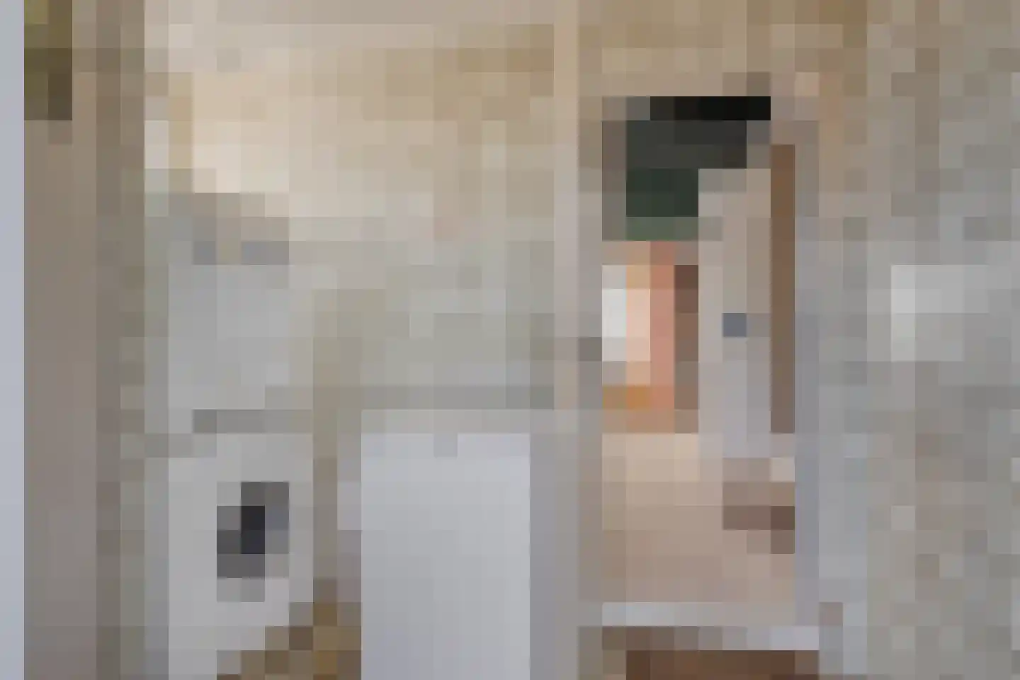 Schalklaan 18 Kloetinge thumbnail 18