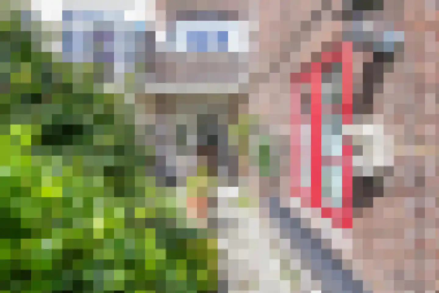 Schalkwijkerstraat 39 ZW Haarlem thumbnail 18