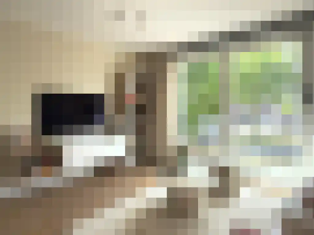 Schalkwijkerstraat 5 D Haarlem thumbnail 4