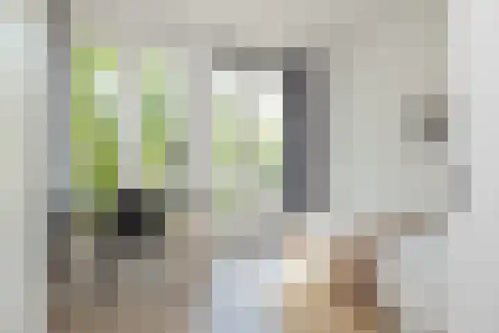 Schalkwijkerstraat 5 G Haarlem thumbnail 24