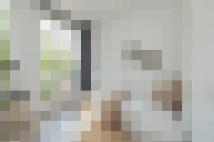 Schalkwijkerstraat 5 G Haarlem thumbnail 25