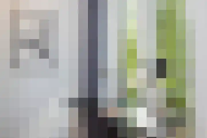 Schalkwijkerstraat 5 G Haarlem thumbnail 4