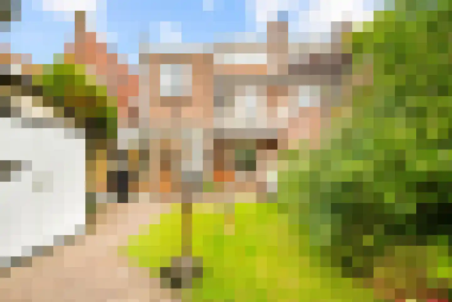Schalkwijkerstraat 55 Haarlem thumbnail 35
