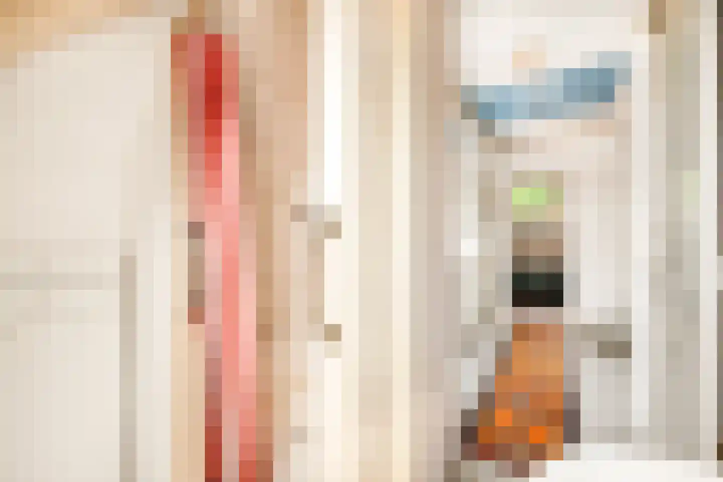 Schalkwijkerstraat 55 Haarlem thumbnail 68