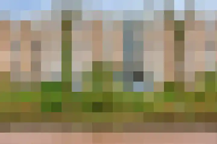 Schalkwijkpad 31 Amsterdam thumbnail 6